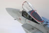 Hasegwa's 1/48 scale F-15C Eagle by Pier Citterio: Image