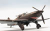 Airfix 1/72 scale Defiant Mk.I by Roland Sachsenhofer: Image