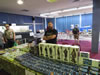 Greater Sydney Model Expo by Li Choo: Image