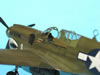 Hasegawa 1/48 P-40N by Tolga Ulgar: Image