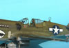 Hasegawa 1/48 P-40N by Tolga Ulgar: Image