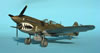 Hasegawa 1/48 P-40N by Tolga Ulgar: Image