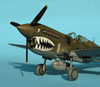 Hasegawa 1/48 P-40N by Tolga Ulgar: Image