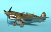 Hasegawa 1/48 P-40N by Tolga Ulgar: Image