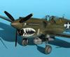 Hasegawa 1/48 P-40N by Tolga Ulgar: Image