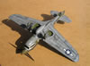 Hasegawa 1/48 P-40N by Tolga Ulgar: Image