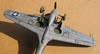 Hasegawa 1/48 P-40N by Tolga Ulgar: Image