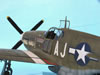 Trumpeter 1/32 P-51B Mustang by by Tolga Ulgar: Image