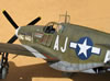 Trumpeter 1/32 P-51B Mustang by by Tolga Ulgar: Image