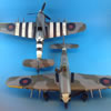 Hasegawa 1/48 scale Hawker Typhoons by Pasquale Passafaro: Image