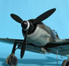 Hasegawa 1/32 Fw 190 A-8 by Tolga Ulgar: Image