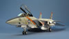 Tamiya 1/48 F-14A Tomcat by David W. Aungst: Image