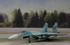 Zvezda 1/72 Su-27SM by Clark Duan: Image