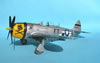 Hasegawa 1/32 P-47D-30 by Tolga Ulgur: Image