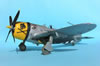 Hasegawa 1/32 P-47D-30 by Tolga Ulgur: Image