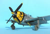 Hasegawa 1/32 P-47D-30 by Tolga Ulgur: Image