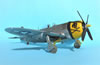 Hasegawa 1/32 P-47D-30 by Tolga Ulgur: Image