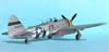 Hasegawa 1/32 P-47D-30 by Tolga Ulgur: Image