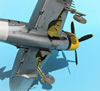 Hasegawa 1/32 P-47D-30 by Tolga Ulgur: Image