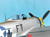 Hasegawa 1/32 P-47D-30 by Tolga Ulgur: Image