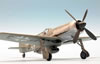 Hobby Boss 1/48 Focke-Wulf Fw 190 V18 by Roland Sachsenhofer: Image