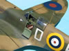 Hasegawa 1/32 Spitfire Mk.Va by Tolga Ulgur: Image