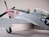 Tamiya 1/48 P-51D Mustang by Floyd S. Werner: Image