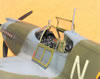 Hobbycraft 1/32 Mustang Mk.Ia by Tolga Ulgur: Image