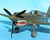 Hasegawa 1/32 P-40E Warhawk by Tolga Ulgur: Image