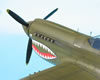 Hasegawa 1/32 P-40E Warhawk by Tolga Ulgur: Image