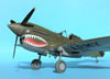 Hasegawa 1/32 P-40E Warhawk by Tolga Ulgur: Image