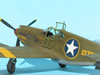 Accurate Miniatures 1/48 Mustang Mk.Ia by Tolga Ulgur: Image