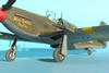 Accurate Miniatures 1/48 Mustang Mk.Ia by Tolga Ulgur: Image