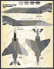 Furball Aero Design Item No. 48-064  Lo-Viz US Navy Rhinos Review by Brett Green: Image