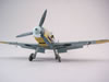 Eduard 1/48 scale Messerschmitt Bf 109 F-2 by Floyd S. Werner Jr.: Image