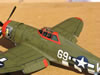 Tamiya 1/48 P-47D Thunderbolt by Tolga Ulgur: Image