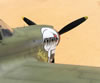 Eduard 1/32 P-40N Warhawk by Tolga Ulgur: Image