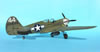 Eduard 1/32 P-40N Warhawk by Tolga Ulgur: Image