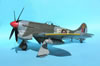 Special Hobby 1/32 Hawker Tempest Mk.V by Tolga Ulgur: Image