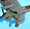 Special Hobby 1/32 Hawker Tempest Mk.V by Tolga Ulgur: Image