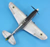 Hasegawa's 1/48 Curtiss F-40E Warhawk by Jon Bryon: Image