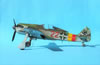 Hasegawa 1/32 Focke-Wulf Fw 190 A-9 by Tolga Ulgur: Image