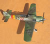 Hasegawa 1/32 Focke-Wulf Fw 190 A-9 by Tolga Ulgur: Image