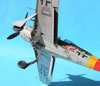 Hasegawa 1/32 Focke-Wulf Fw 190 A-9 by Tolga Ulgur: Image