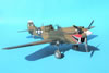 Hasegawa 1/32 P-40K Warhawk by Tolga Ulgur: Image