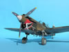 Hasegawa 1/32 P-40K Warhawk by Tolga Ulgur: Image