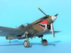 Hasegawa 1/32 P-40K Warhawk by Tolga Ulgur: Image