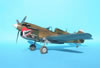 Hasegawa 1/32 P-40K Warhawk by Tolga Ulgur: Image