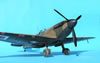 Hasegawa 1/32 Spitfire Mk.I by Tolga Ulgur: Image