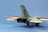 Hasegwa 1/72 F-111B Conversion by Bill Gilman: Image